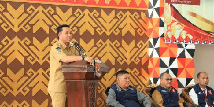 ‎Wujudkan Perlindungan Terhadap Perempuan dan Anak, Melalui Dinas P2KBP3A, Pemkab Lambar Bentuk Satgas PPA