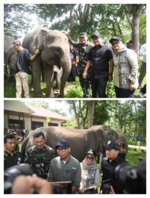 Ketua DPRD Lampung: Atensi Presiden Jadikan Way Kambas Percontohan Nasional Harus Dikawal Bersama