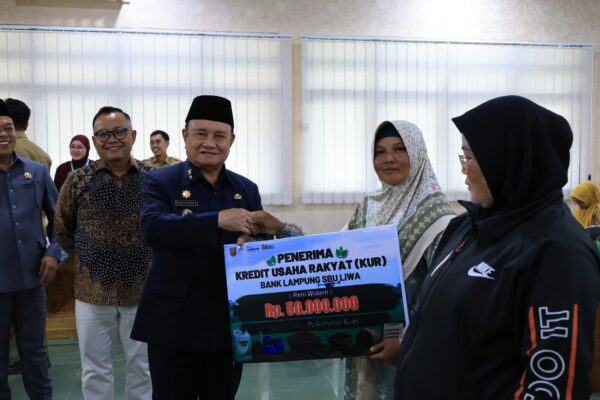 Perkuat Akses Permodalan UMKM, Pemkab Lampung Barat Gandeng OJK dan BPD Lampung
